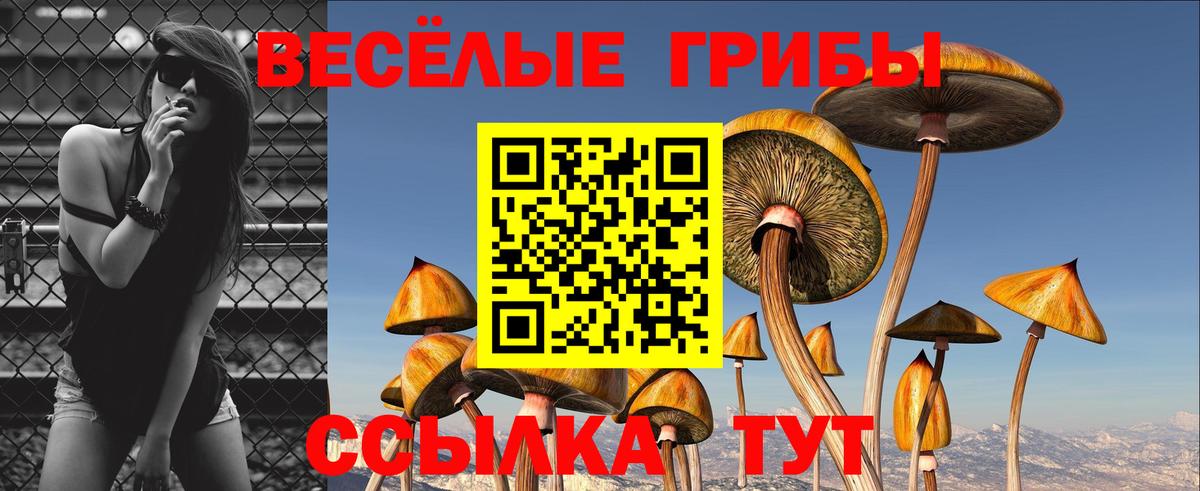 Псилоцибиновые грибы прущие грибы Похвистнево